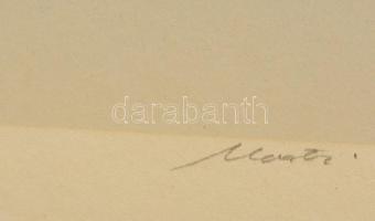 Olvashatatlan jelzéssel: Repülő hattyúk. C-print, papír, 22×19 cm