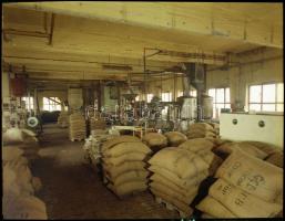 1975 Budapest, képriport a Magyar Édesipar fellegváráról a budafoki úti csokigyárról, 86 db szabadon...