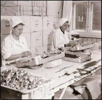 1975 Budapest, képriport a Magyar Édesipar fellegváráról a budafoki úti csokigyárról, 86 db szabadon...