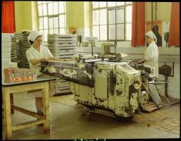 1975 Budapest, képriport a Magyar Édesipar fellegváráról a budafoki úti csokigyárról, 86 db szabadon...