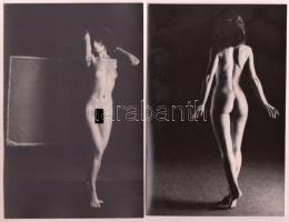 cca 1970 Mindenből egy kevés, 13 db szolidan erotikus, vintage fotó, 14x9 cm / 13 erotic photos, 14x9 cm