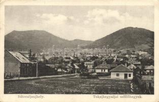 Sátoraljaújhely, Tokajhegyaljai szőlőhegyek (kis szakadás / small tear)