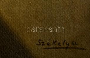 cca 1925 Székely Aladár (1870-1940): In memoriam Edvi Illés Aladár festőművész, feliratozott vintage...