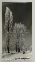 cca 1962 Dezső Pál: Téli táj, feliratozott vintage fotóművészeti alkotás, kiállítási emlékjeggyel és emlékpecsétekkel, 20,5x39,5 cm