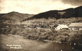 1909 Palotailva, Lunca Bradului; Bangra fűrésztelep / saw mill, photo (b)