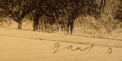 Gaál Domonkos (1940-2009): Sárospatak. Rézkarc, papír, jelzett, 36×48 cm