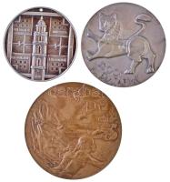 3db-os vegyes emlékérem tétel, közte Litvánia DN "Aesculapius / Vilniaus Miesto Klinikiné Ligoniné" Vilnius város kórháza, fém emlékérem, átfúrt (54mm) T:2 ph. 3pcs of various commemorative medals, including Lithuania ND "Aesculapius / Vilniaus Miesto Klinikiné Ligoniné" Hospital of the city Vilnius, metal commemorativ medal, drilled hole (54mm) C:XF edge error