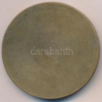 1965. "A Debreceni Színház fennállásának 100. évfordulója emlékére 1865-1965" Br emlékplak...