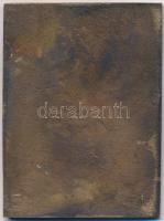 1994. "Kossuth Lajos halálának 100. évfordulójára 1802-94" Br plakett (56x76mm) T:2