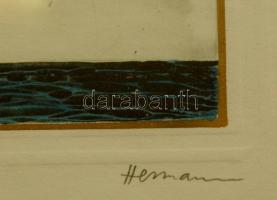 Hermann jelzéssel: Aktrajz '92, vegyes technika, papír, jelzett, számozott (38/50), paszpartuba...