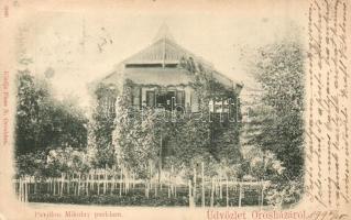 1899 Orosháza, Pavilon a Mikolay parkban  (vágott / cut)