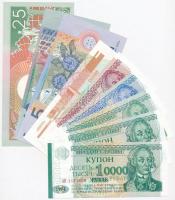 Vegyes: Suriname 2000. 5G + 10G + 1988. 25G + Transznisztria 1994. 1R + 5R + 10R + 1996. 1R felülbélyegezve 10.000R + 1996. 1R felülbélyegezve 10.000R T:I Mixed: Suriname 2000. 5 Gulden + 10 Gulden + 1988. 25G + Transznisztria 1994. 1 Ruble + 5 Ruble + 10 Ruble + 1996.  1 Ruble with 10.000 Ruble overprint + 1 Ruble with 10.000 Ruble overprint C:UNC