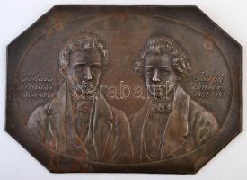 Rudolf Neuberger (1861-1916): Johann Stauss és Joseph Lanner. Bécsi vas falikép, jelzett (Wien 1911), rozsda foltokkal, 19×27 cm /1911 Vienna iron plaque