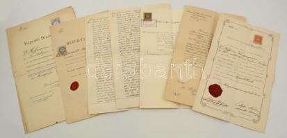 1892-1906 Hoffmann Károly orvos iratai: tisztiorvosi minősítő bizonyítvány, bizonyítványmásolatok, egy részük okmánybélyeggel, rányomott viaszpecséttel, összesen 7 db