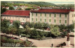 Szekszárd, M. kir. országos selyemtenyésztési főfelügyelőség (kis szakadás / small tear)