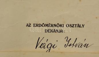 1932 Soproni  erdőmérnöki oklevél Visnyovszky Dániel selmecbányai erdőmérnöknek, címeres függő viasz...
