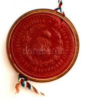 1932 Soproni  erdőmérnöki oklevél Visnyovszky Dániel selmecbányai erdőmérnöknek, címeres függő viasz...