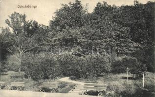 Boksánbánya, Németbogsán, Bocsa; park, Rosner Adolf kiadása; hátoldalon Reich Károly okl. táncoktató reklámja / park