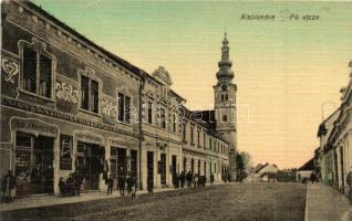 Alsólendva, Dolnja Lendava; Fő utca, Hoffmann Samu, Zombori Mihály és Máyer Ödön üzlete, Balkányi Ernő könyvnyomdája és saját kiadása / main street, shops, printing shop (Rb)