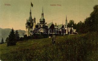 Sinaia, Castelul Peles / castle (EK)
