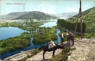 Sibenik, Sebenico; Krka river, horses (EK)