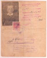 1926 Kőszeg, Határszéli úti igazolvány(Reise-Zertifikat) a kőszegi járás főszolgabírájától