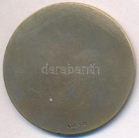 Göröntsér Greff Lajos (1888-1976) ~1930-1940. "Magyar Úszó Szövetség 1907" Br emlékérem há...