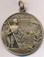 ~1930. "Újpesti Torna Egylet 1885" Br emlékérem hátoldalán "LUDVIG BPEST" gyártói jelzéssel, füllel (35mm) T:1-,2