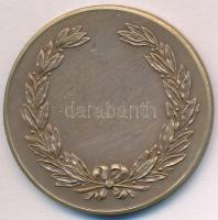 ~1920-1930. "Erzsébeti Torna  Club 1909" Br emlékérem "HAWEL BP" gyártói jelzéss...