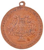 1903. "Az OMDE XV. Országos Dalos Ünnepe - Temesvár" réz emlékérem mellszalag nélkül (29mm) T:2- ph.