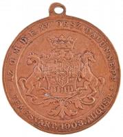1903. "Az OMDE XV. Országos Dalos Ünnepe - Temesvár" réz emlékérem mellszalag nélkül (29mm...