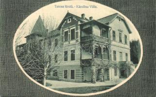 Tarcsafürdő, Bad Tatzmannsdorf; Karolina Villa, Stern J. fényképész / villa