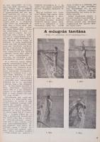 cca 1950-1960 Sportolással kapcsolatos újságok, 15 db: 2 db Sportélet, Főiskolai sport, 5 év Sporter...