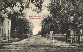 Dunaharaszti, Hegyi Lajos utca