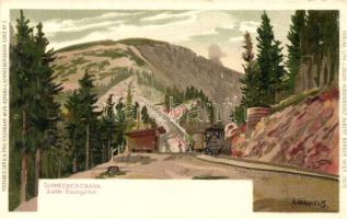 Schneebergbahn, Station Baumgartner / mountain railway station, Postkarte der K.k. Priv. Eisenbahn Wien, Aspang u. Schneebergbahn Serie No. 2. litho s: A. Michaelis