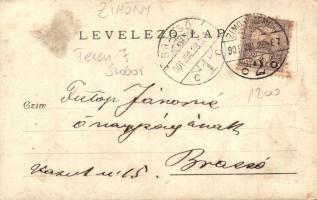 1901 Zimony, Zemun, Semlin; Ferenc József szobor / Franz Joseph statue, photo (EK)