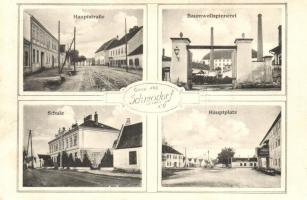 Schwadorf a. d. Fischa, Main street, cotton spinning factory, school, main square, Gustav Ulreich (EK)
