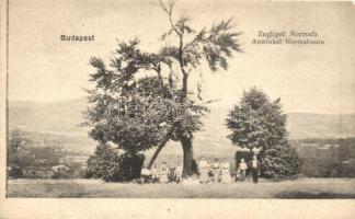 Budapest XII. Zugliget, Normafa, Divald Károly (EK)