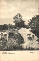 Budapest XII. Svábhegy, Divald Károly