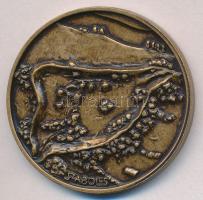 Tóth Sándor (1933-) 1996. "Magyar Honfoglalás 896 Szabolcs vezér / Szabolcs" Br emlékérem ...