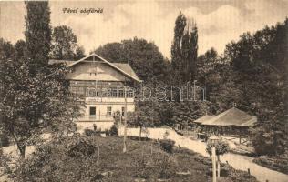 Szlatinafüred; Pável sósfürdő / spa