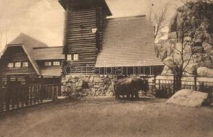 Budapest XIV. Új Állatkert, bölény