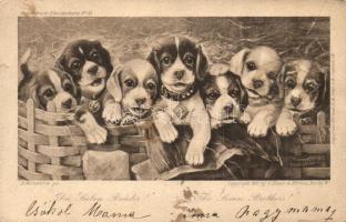 Dogs, Kupferdruck Künstlerkarte No. 32. s: A. Weczerzick