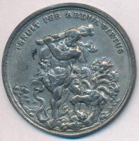 DN "TENDIT PER ARDUA VIRTUS" utánöntött ón plakett  (49,5mm) T:2-