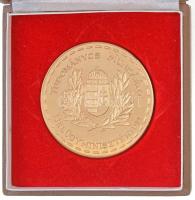 DN "Tudományos Munkáért - Belügyminisztérium" aranyozott fém plakett tokban (65mm) T:PP karc, ujjlenyomat