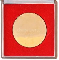DN "Tudományos Munkáért - Belügyminisztérium" aranyozott fém plakett tokban (65mm) T:PP ka...