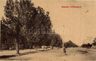 Pécska, Pecica, Ópécska; utcakép villanyoszloppal, Fritz Manó kiadása 543. / street view