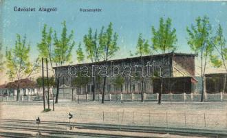 Dunakeszi-Alag, Versenytér leltátókkal