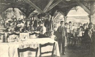 Kolozsvár, Cluj; Rápolti József Erzsébet mulatója, kerthelyiség. Csízhegyi S. fényképész / restaurant garden