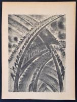 Ruzicskay György (1896-1993): Sorok, algrafia, papír, jelzett az algrafián, 24×18 cm